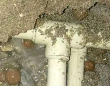 平湖测漏水多少钱