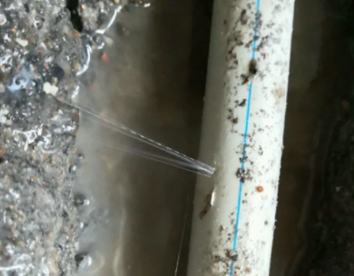 平湖测漏水哪家好