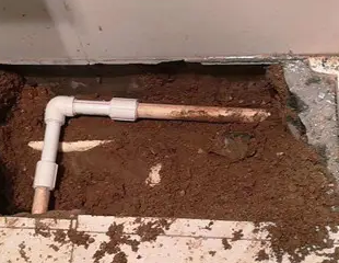 平湖测漏水哪家好