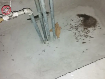 平湖卫生间测漏水价格明细