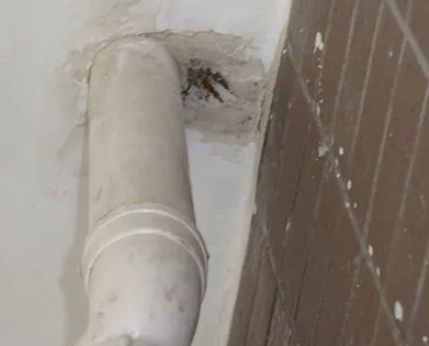 平湖漏水检测哪家好